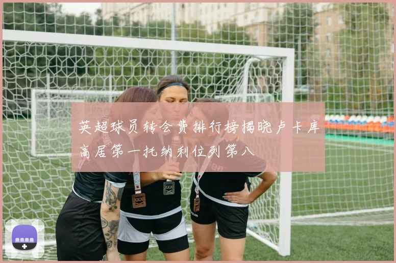 英超球员转会费排行榜揭晓卢卡库高居第一托纳利位列第八