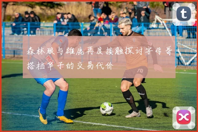 森林狼与雄鹿再度接触探讨字母哥搭档华子的交易代价