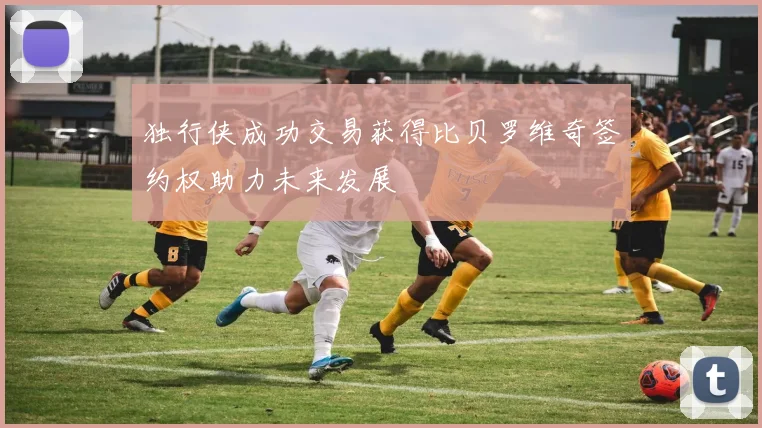 独行侠成功交易获得比贝罗维奇签约权助力未来发展